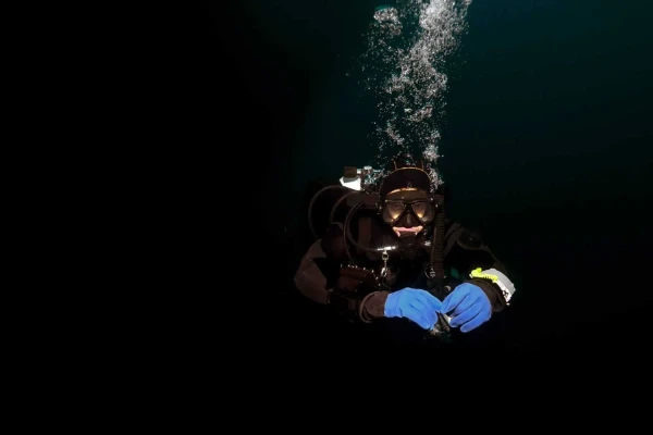 Decompression Procedures Course - Master staged decompression